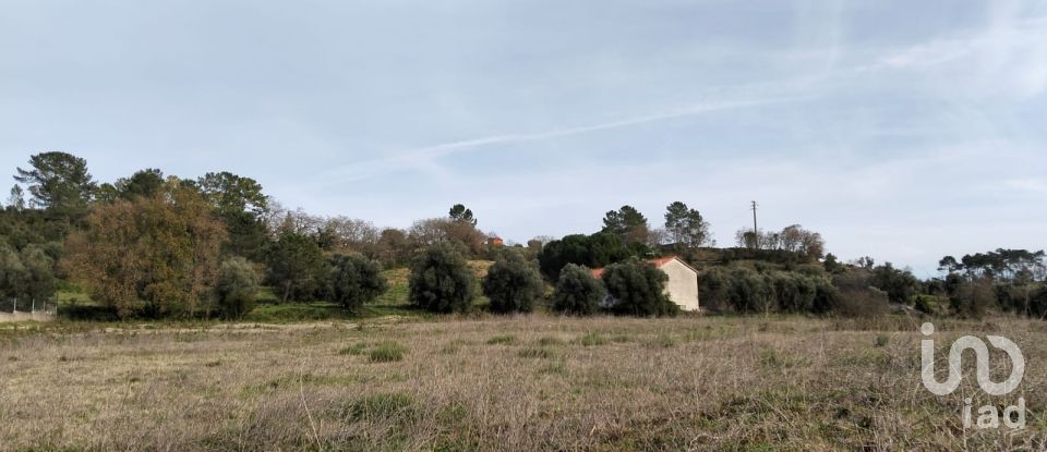 Terreno em Tomar (São João Baptista) e Santa Maria dos Olivais de 13 080 m²