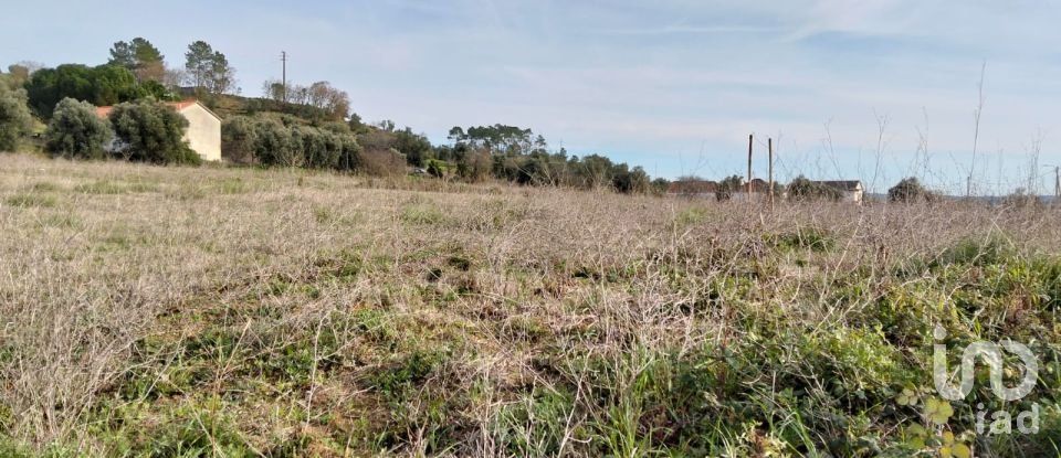 Terreno em Tomar (São João Baptista) e Santa Maria dos Olivais de 13 080 m²