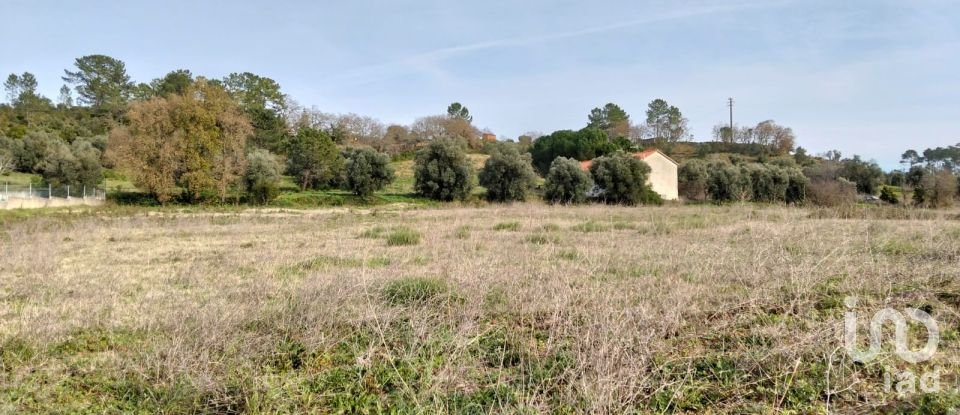 Terreno em Tomar (São João Baptista) e Santa Maria dos Olivais de 13 080 m²