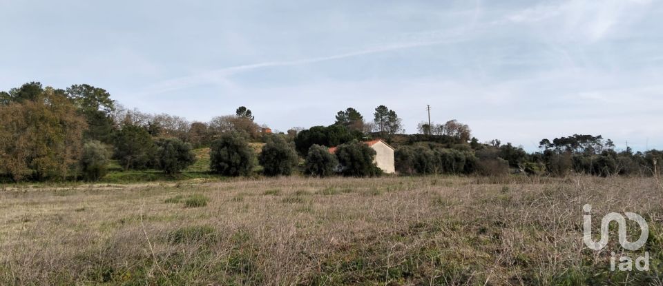 Terreno em Tomar (São João Baptista) e Santa Maria dos Olivais de 13 080 m²