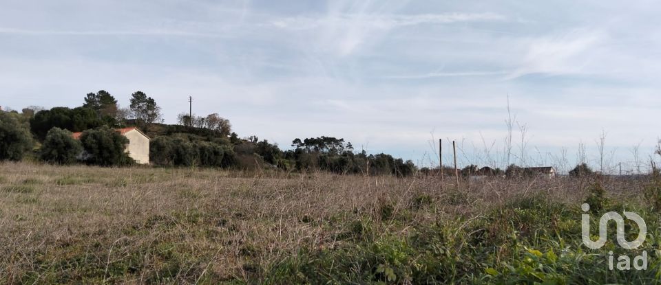 Terreno em Tomar (São João Baptista) e Santa Maria dos Olivais de 13 080 m²