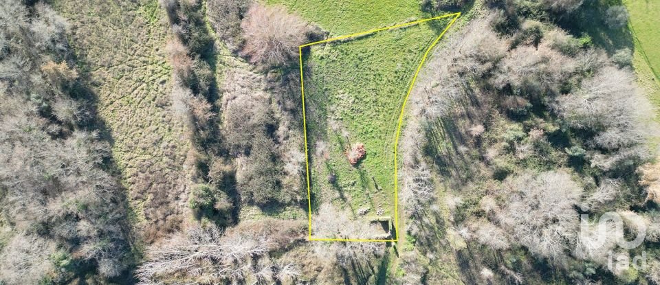 Terreno rústico em Espinhal de 1 300 m²