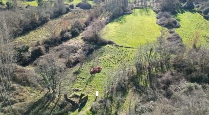 Terreno rústico em Espinhal de 1 300 m²