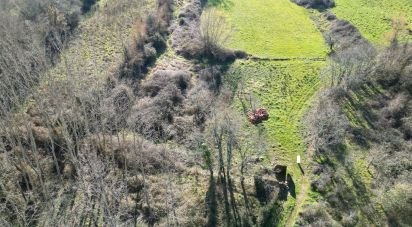Terreno rústico em Espinhal de 1 300 m²