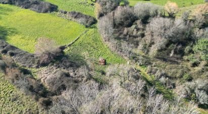 Terreno rústico em Espinhal de 1 300 m²
