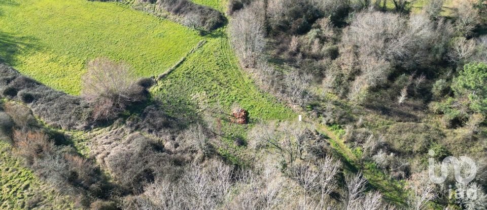 Terreno rústico em Espinhal de 1 300 m²