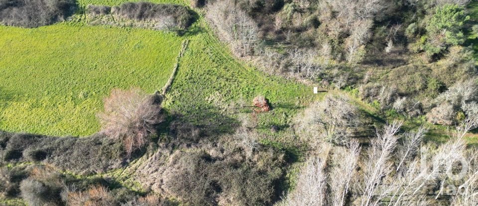 Terreno rústico em Espinhal de 1 300 m²