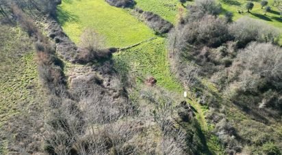 Terreno rústico em Espinhal de 1 300 m²