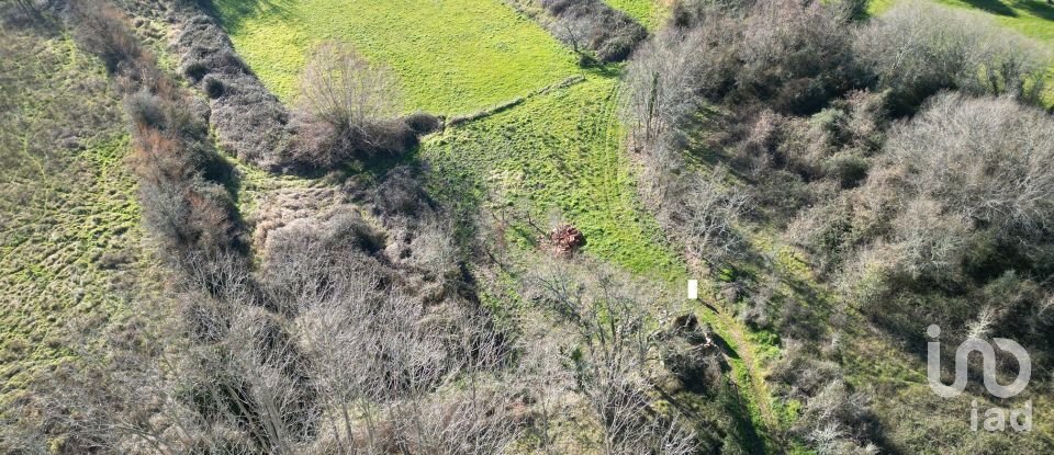 Terreno rústico em Espinhal de 1 300 m²