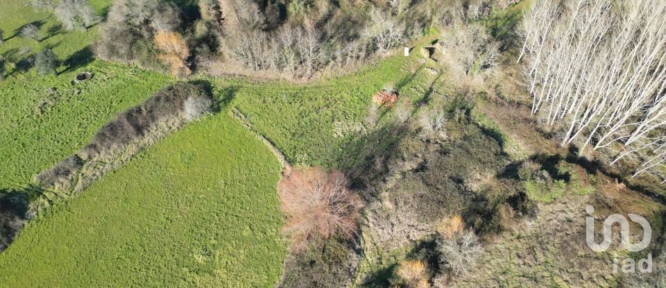 Terreno rústico em Espinhal de 1 300 m²