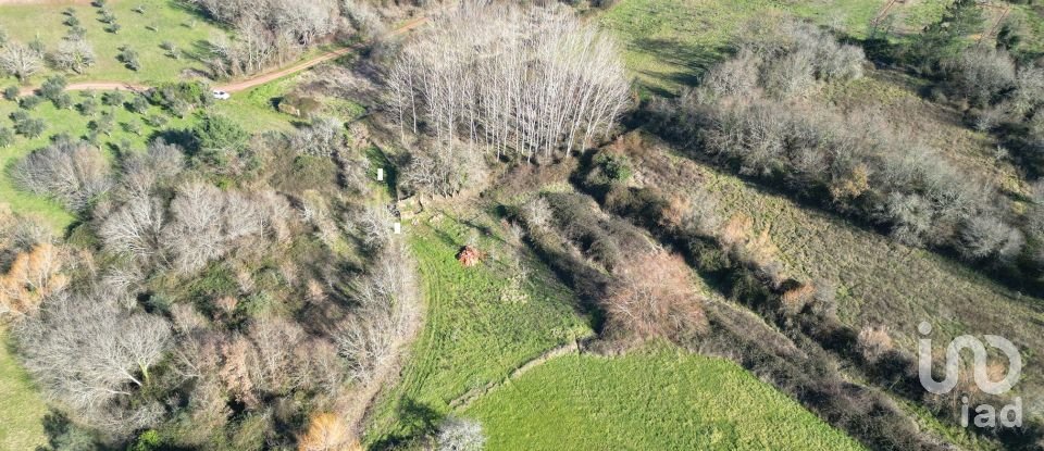 Terreno rústico em Espinhal de 1 300 m²