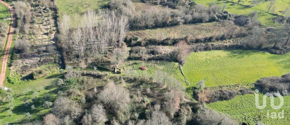 Terreno rústico em Espinhal de 1 300 m²