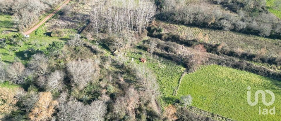 Terreno rústico em Espinhal de 1 300 m²