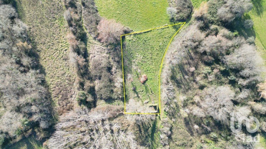 Terreno rústico em Espinhal de 1 300 m²