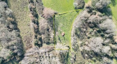 Terreno rústico em Espinhal de 1 300 m²