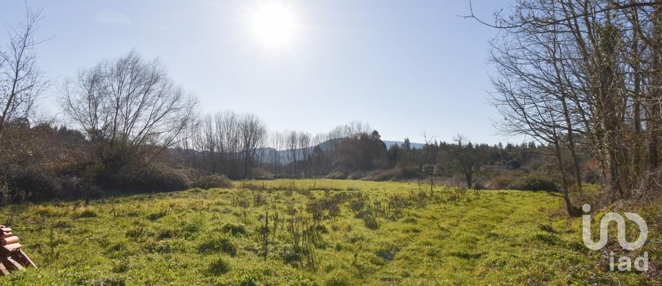Terreno rústico em Espinhal de 1 300 m²