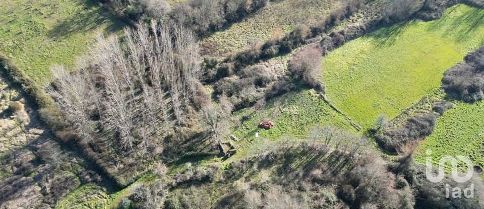 Terreno rústico em Espinhal de 1 300 m²