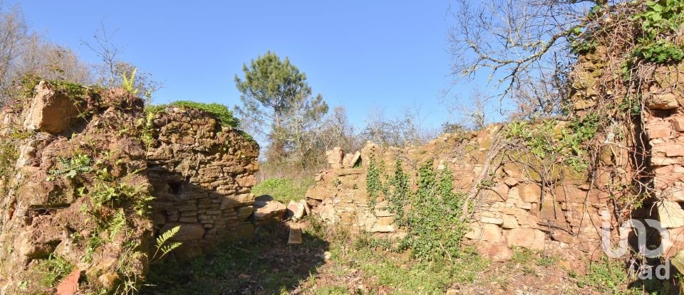 Terreno rústico em Espinhal de 1 300 m²