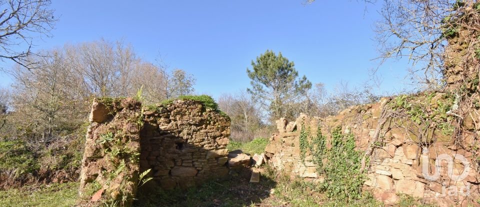Terreno rústico em Espinhal de 1 300 m²