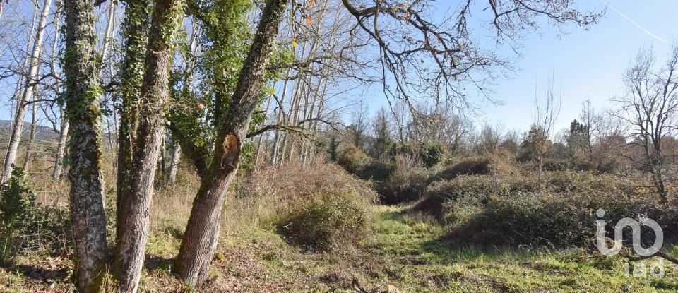 Terreno rústico em Espinhal de 1 300 m²