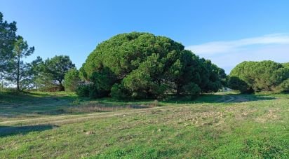 Terrain à Sesimbra (Castelo) de 15 600 m²