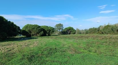 Terrain à Sesimbra (Castelo) de 15 600 m²