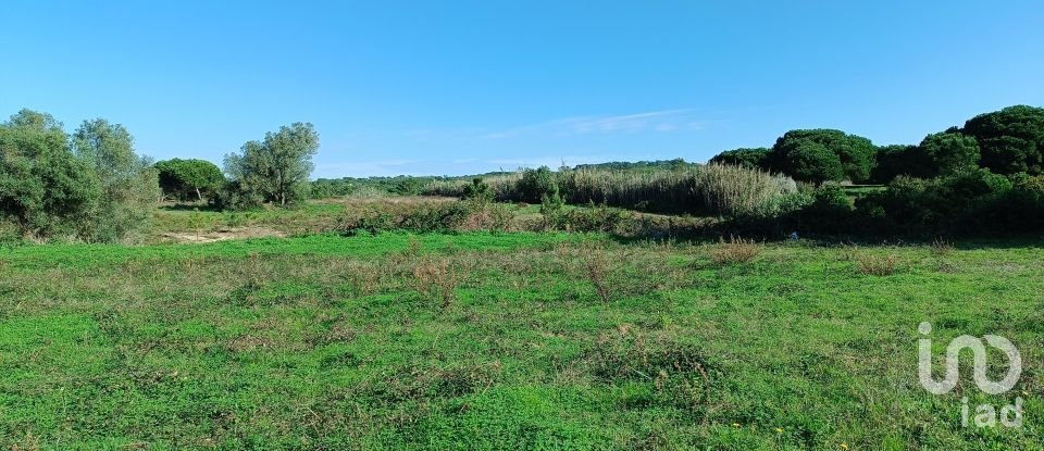 Terreno em Sesimbra (Castelo) de 15 600 m²