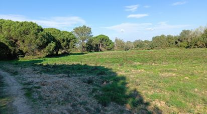 Terrain à Sesimbra (Castelo) de 15 600 m²