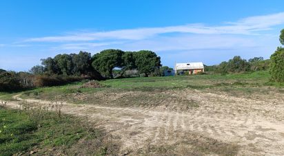 Terrain à Sesimbra (Castelo) de 15 600 m²