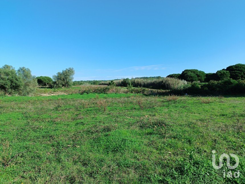 Terreno em Sesimbra (Castelo) de 15 600 m²