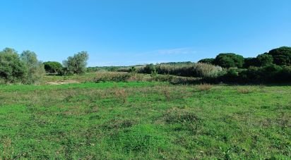 Terrain à Sesimbra (Castelo) de 15 600 m²