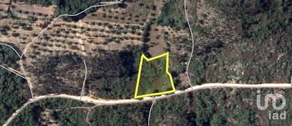 Terrain à Chãos de 2 240 m²