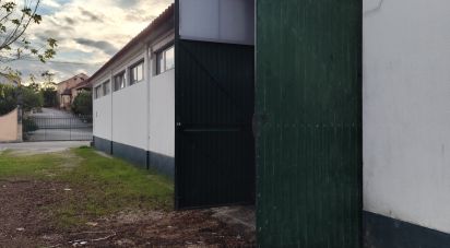 Boutique/Local commercial à Montemor-o-Velho e Gatões de 1 200 m²