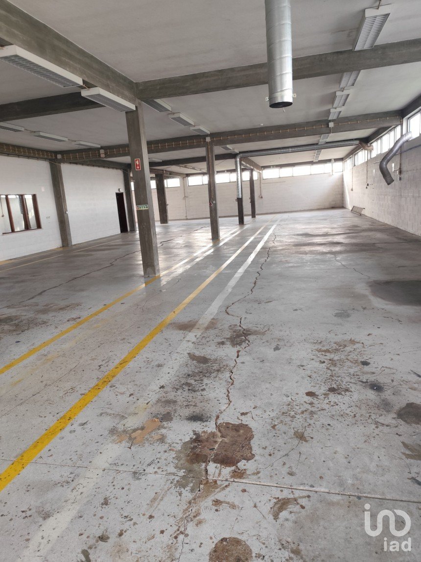 Boutique/Local commercial à Montemor-o-Velho e Gatões de 1 200 m²