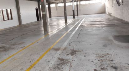 Boutique/Local commercial à Montemor-o-Velho e Gatões de 1 200 m²