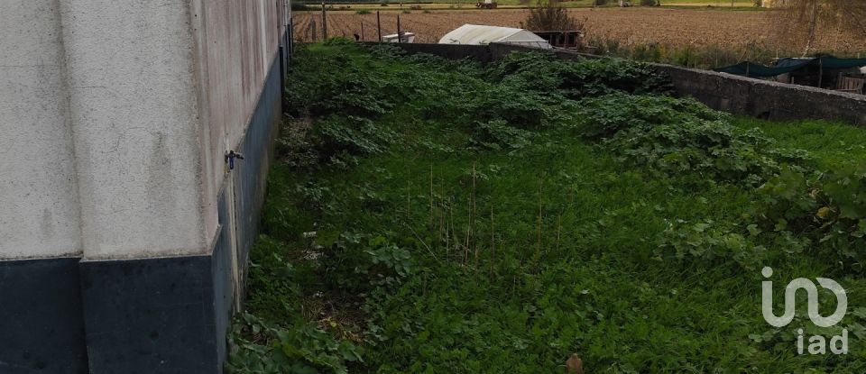 Boutique/Local commercial à Montemor-o-Velho e Gatões de 1 200 m²