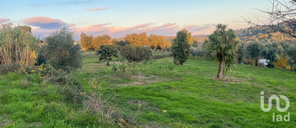 Terrain à Povolide de 8 415 m²