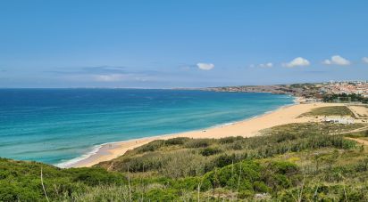 House T4 in Lourinhã e Atalaia of 381 m²