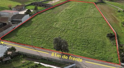 Terrain à bâtir à Oliveirinha de 9 007 m²