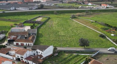 Terrain à bâtir à Oliveirinha de 9 007 m²