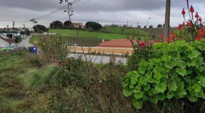 Terrain à Carnota de 8 480 m²