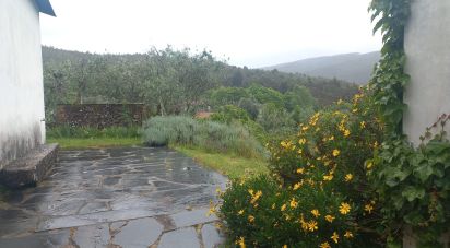 Maison rustique T6 à Real de 442 m²