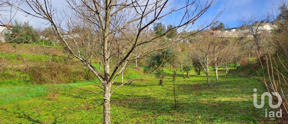 Country home T6 in Real of 442 m²