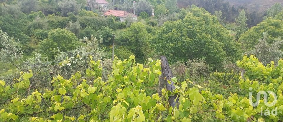 Country home T6 in Real of 442 m²