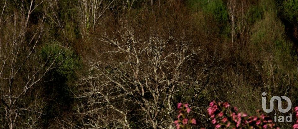 Country home T6 in Real of 442 m²