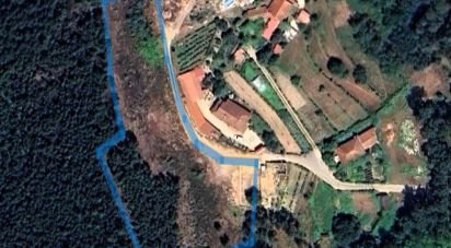 Terrain à Santa Cruz da Trapa e São Cristóvão de Lafões de 4 900 m²