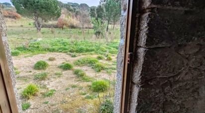 Land in Póvoa de Midões of 28 m²