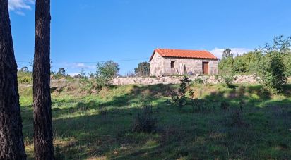 Land in Póvoa de Midões of 28 m²
