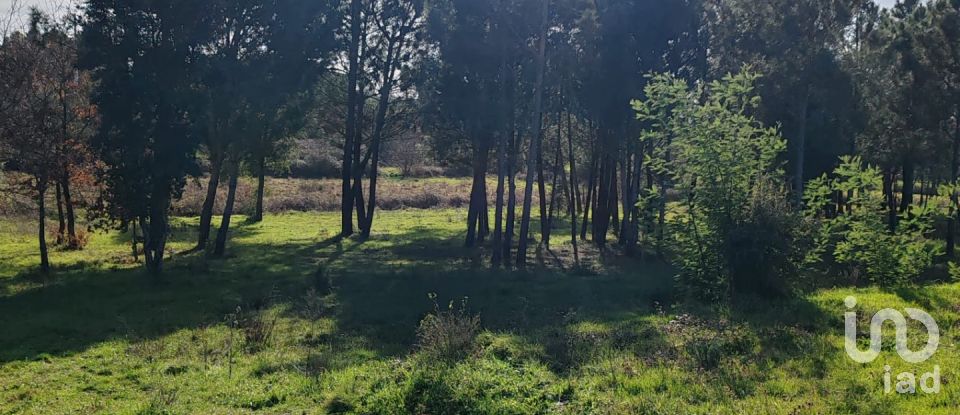 Terreno em Póvoa de Midões de 28 m²