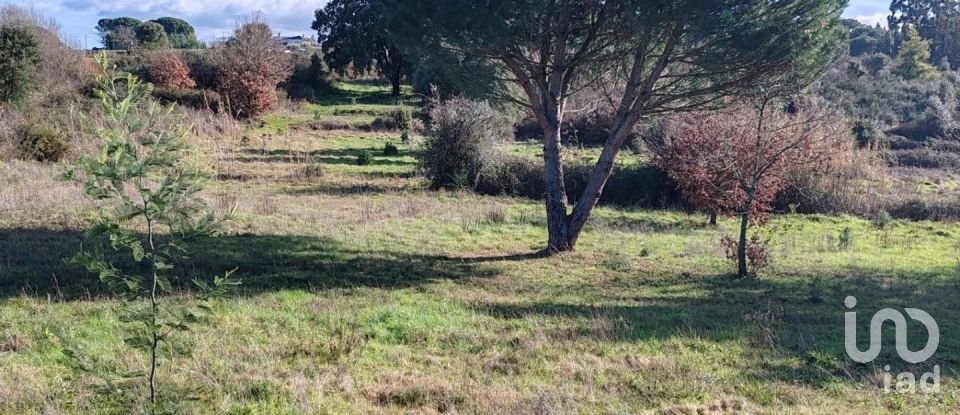 Terreno em Póvoa de Midões de 28 m²